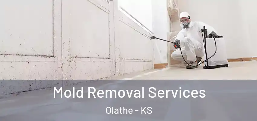  Mold Removal Services Olathe - KS