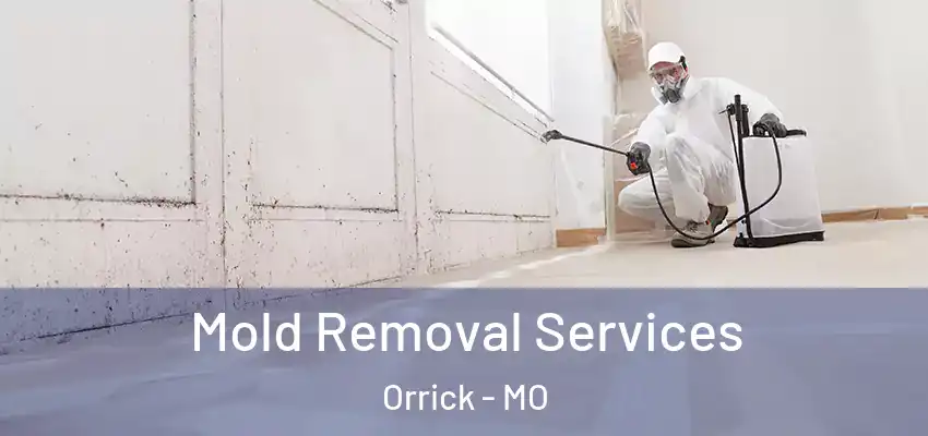 Mold Removal Services Orrick - MO