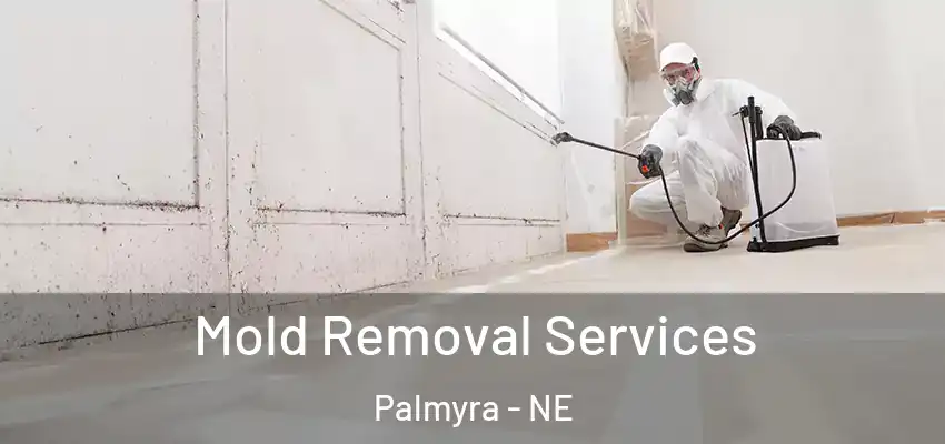  Mold Removal Services Palmyra - NE