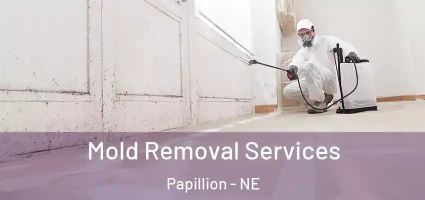 Mold Removal Services Papillion - NE