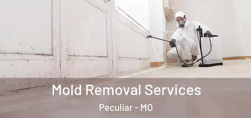  Mold Removal Services Peculiar - MO