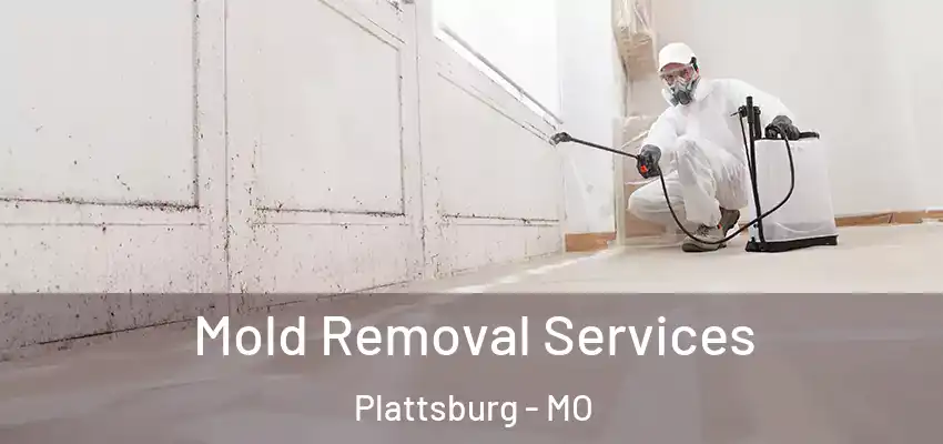 Mold Removal Services Plattsburg - MO