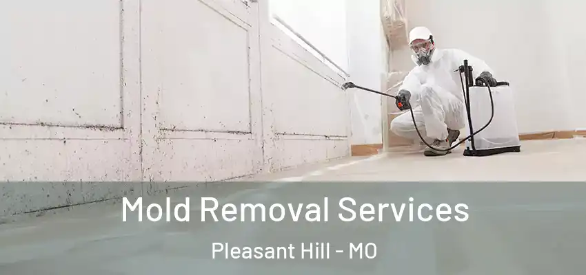  Mold Removal Services Pleasant Hill - MO