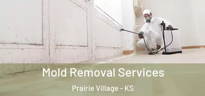  Mold Removal Services Prairie Village - KS