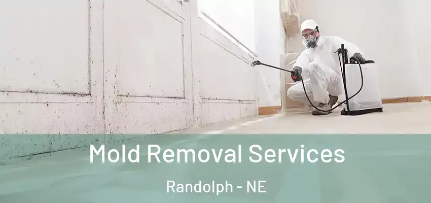  Mold Removal Services Randolph - NE