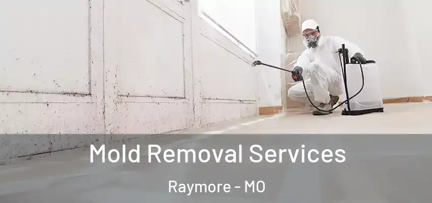Mold Removal Services Raymore - MO