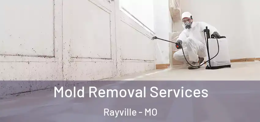 Mold Removal Services Rayville - MO