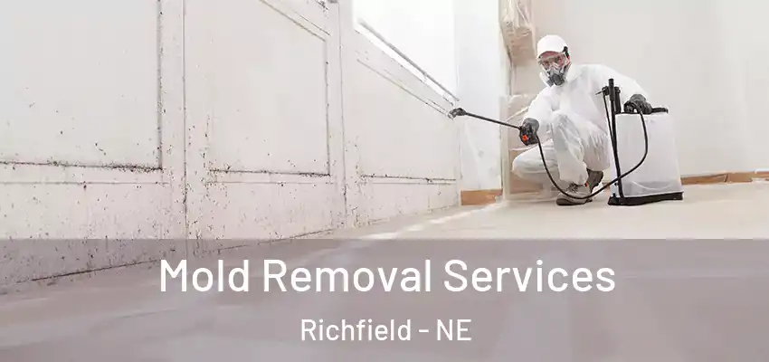  Mold Removal Services Richfield - NE