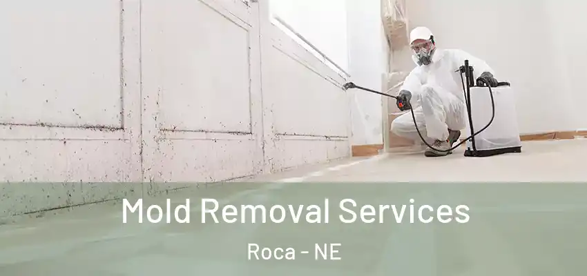 Mold Removal Services Roca - NE