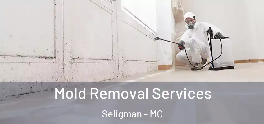  Mold Removal Services Seligman - MO