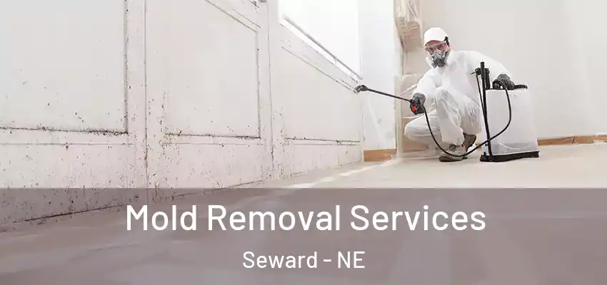 Mold Removal Services Seward - NE