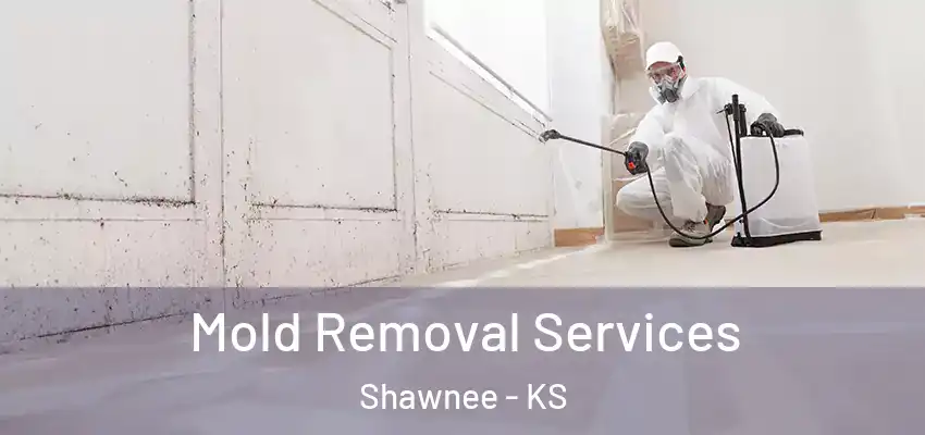  Mold Removal Services Shawnee - KS