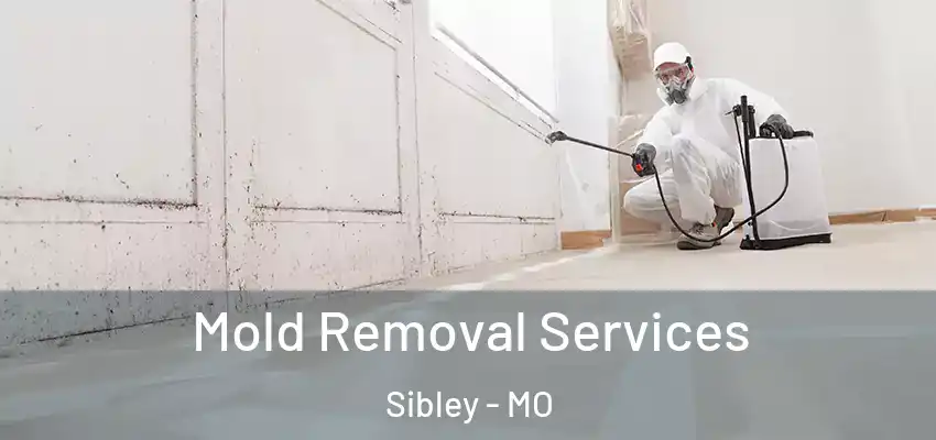 Mold Removal Services Sibley - MO
