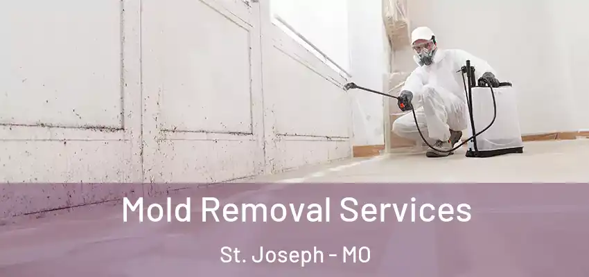 Mold Removal Services St. Joseph - MO
