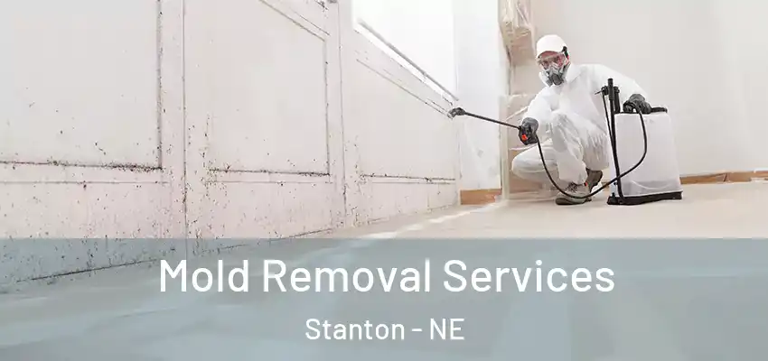 Mold Removal Services Stanton - NE