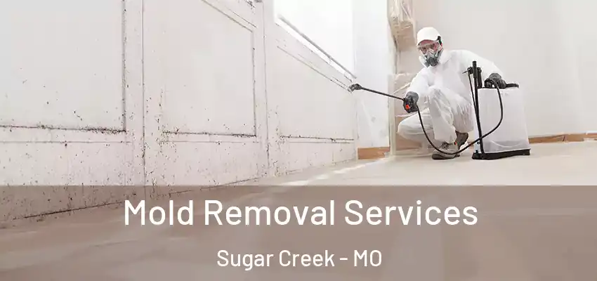  Mold Removal Services Sugar Creek - MO