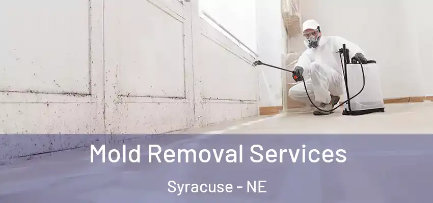 Mold Removal Services Syracuse - NE