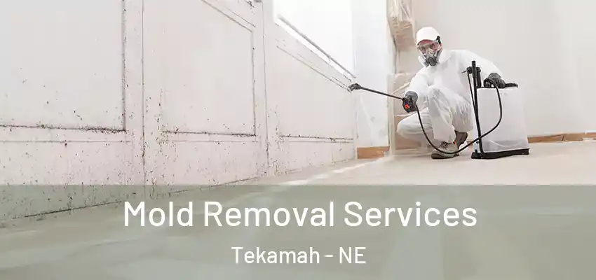 Mold Removal Services Tekamah - NE
