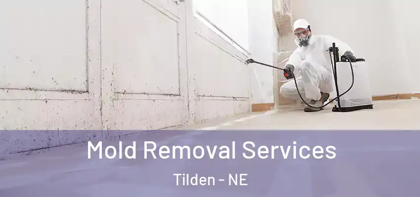  Mold Removal Services Tilden - NE
