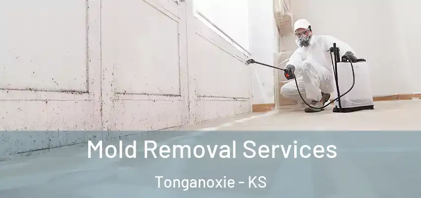  Mold Removal Services Tonganoxie - KS