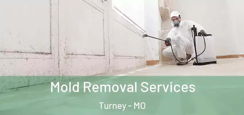 Mold Removal Services Turney - MO