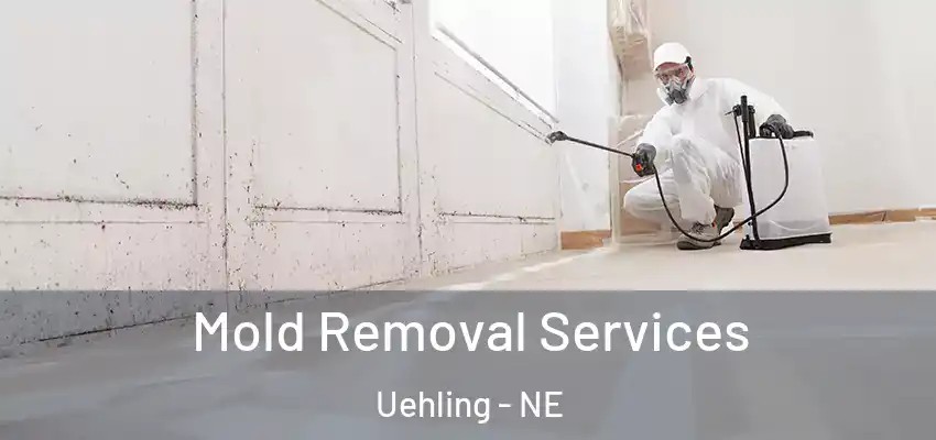 Mold Removal Services Uehling - NE