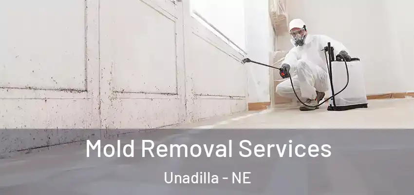 Mold Removal Services Unadilla - NE