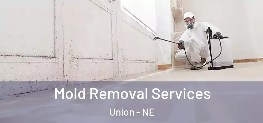 Mold Removal Services Union - NE