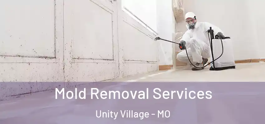  Mold Removal Services Unity Village - MO