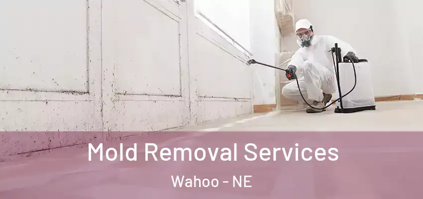 Mold Removal Services Wahoo - NE