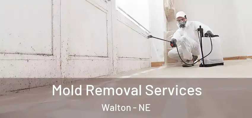  Mold Removal Services Walton - NE