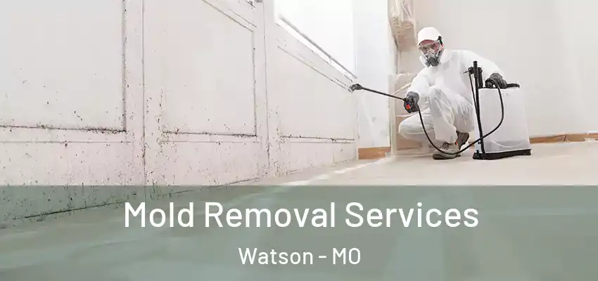  Mold Removal Services Watson - MO