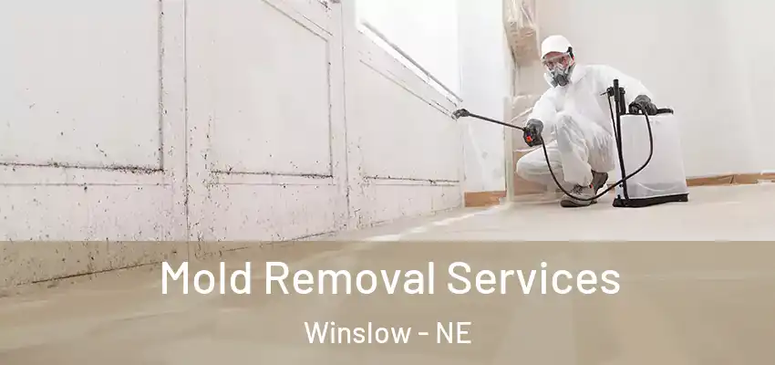  Mold Removal Services Winslow - NE