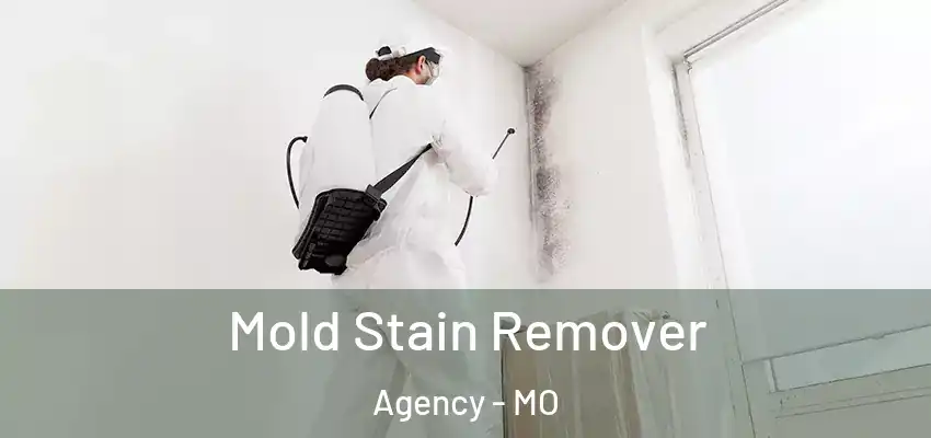  Mold Stain Remover Agency - MO