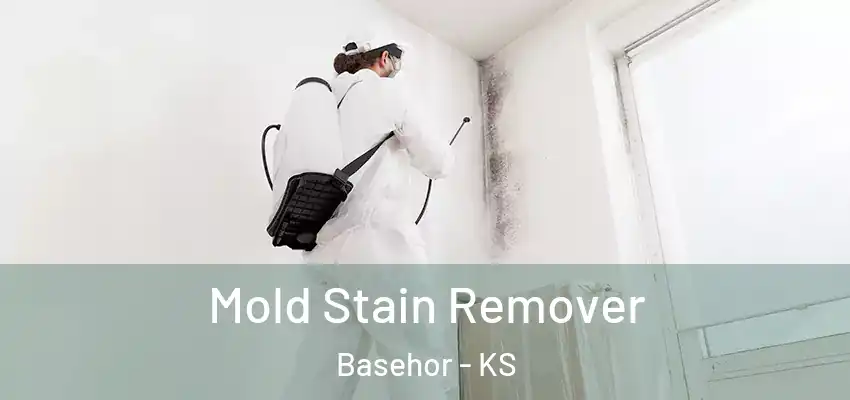  Mold Stain Remover Basehor - KS