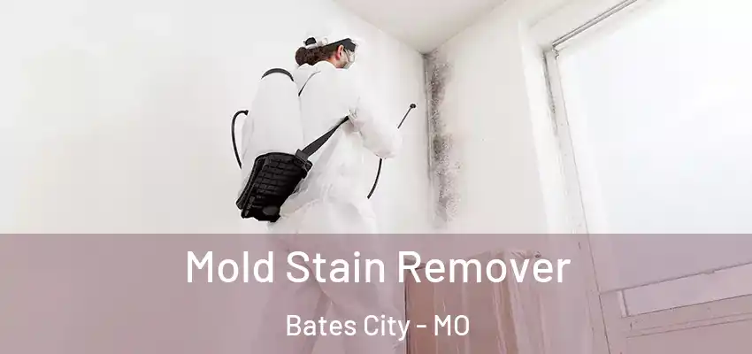  Mold Stain Remover Bates City - MO
