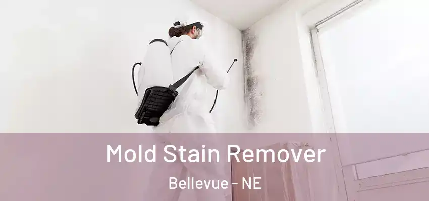  Mold Stain Remover Bellevue - NE