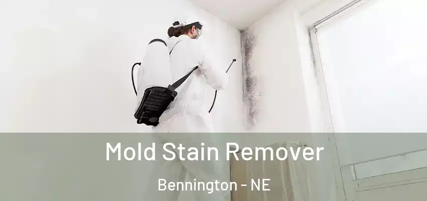  Mold Stain Remover Bennington - NE