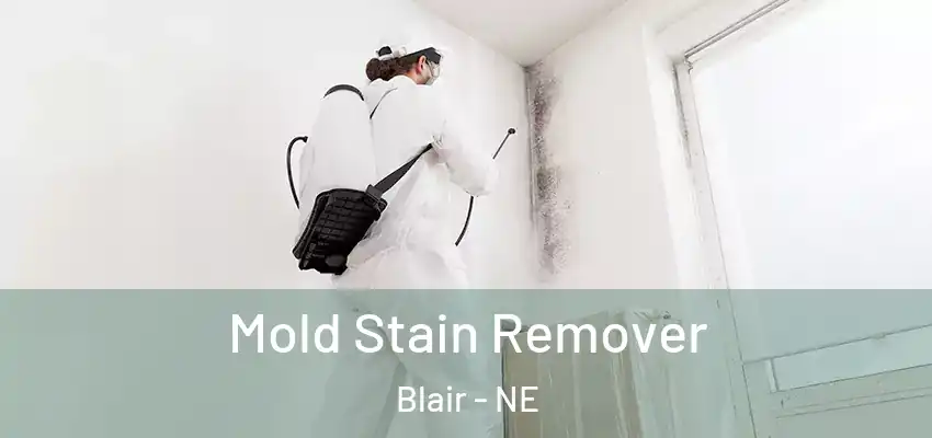  Mold Stain Remover Blair - NE