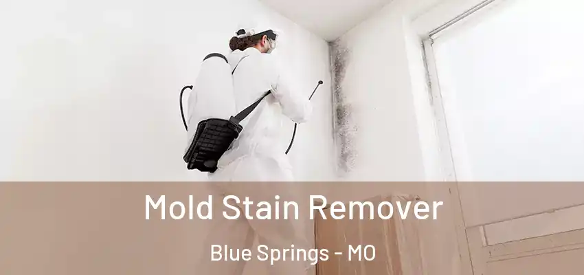  Mold Stain Remover Blue Springs - MO