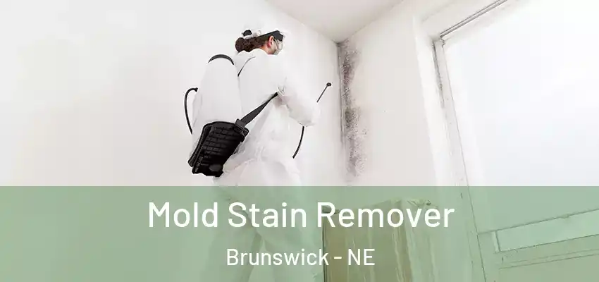  Mold Stain Remover Brunswick - NE