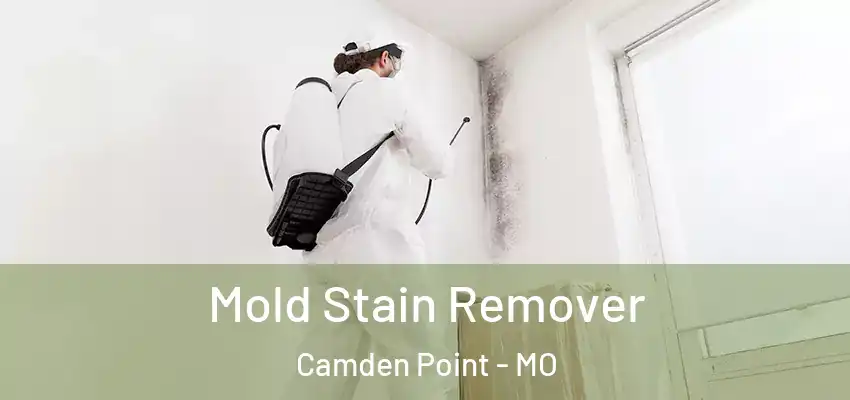 Mold Stain Remover Camden Point - MO