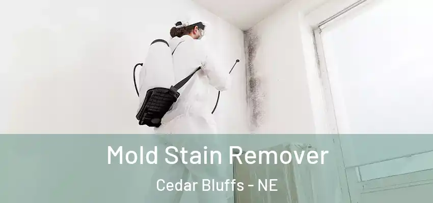  Mold Stain Remover Cedar Bluffs - NE