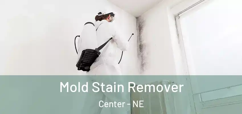  Mold Stain Remover Center - NE