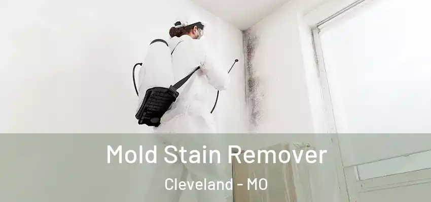  Mold Stain Remover Cleveland - MO