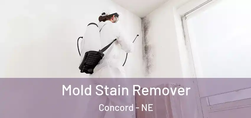  Mold Stain Remover Concord - NE