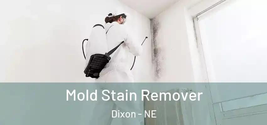  Mold Stain Remover Dixon - NE
