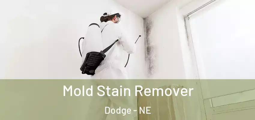  Mold Stain Remover Dodge - NE