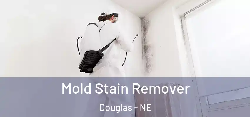  Mold Stain Remover Douglas - NE