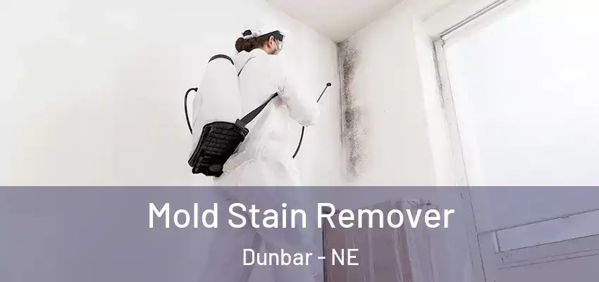 Mold Stain Remover Dunbar - NE